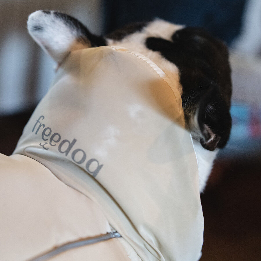 Freedog Abrigo Impermeable Winterhug Beige para perrros, , large Imagen numero 4