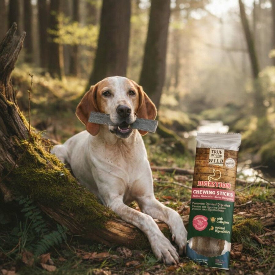 1 ud. True Origins Digestion Chewing Sticks Snack para perros, , large indicador imagen numero 1