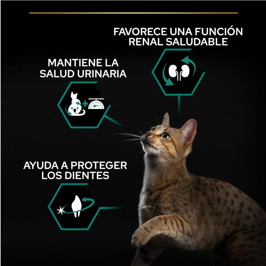 12 kg (10 + 2 kg &iexcl;gratis!) Pro Plan Adult Sterilized Salm&oacute;n Pienso para gatos, , large indicador imagen numero 2