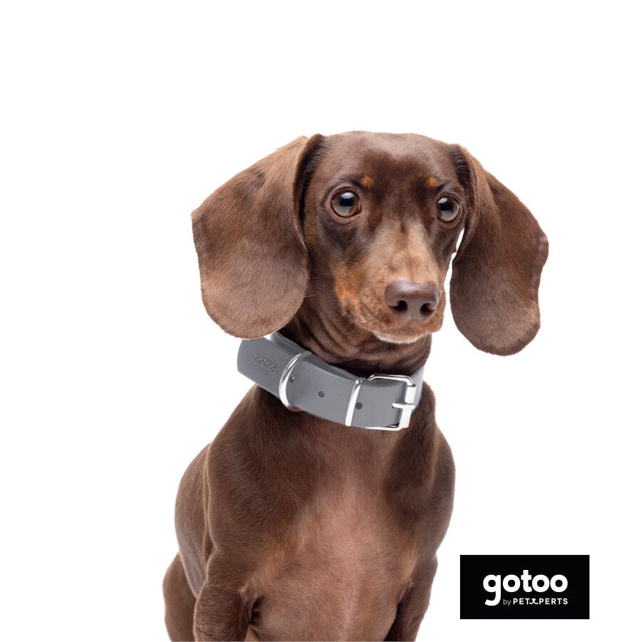Gotoo Collar Biothane gris para perros, , large Imagen numero 1