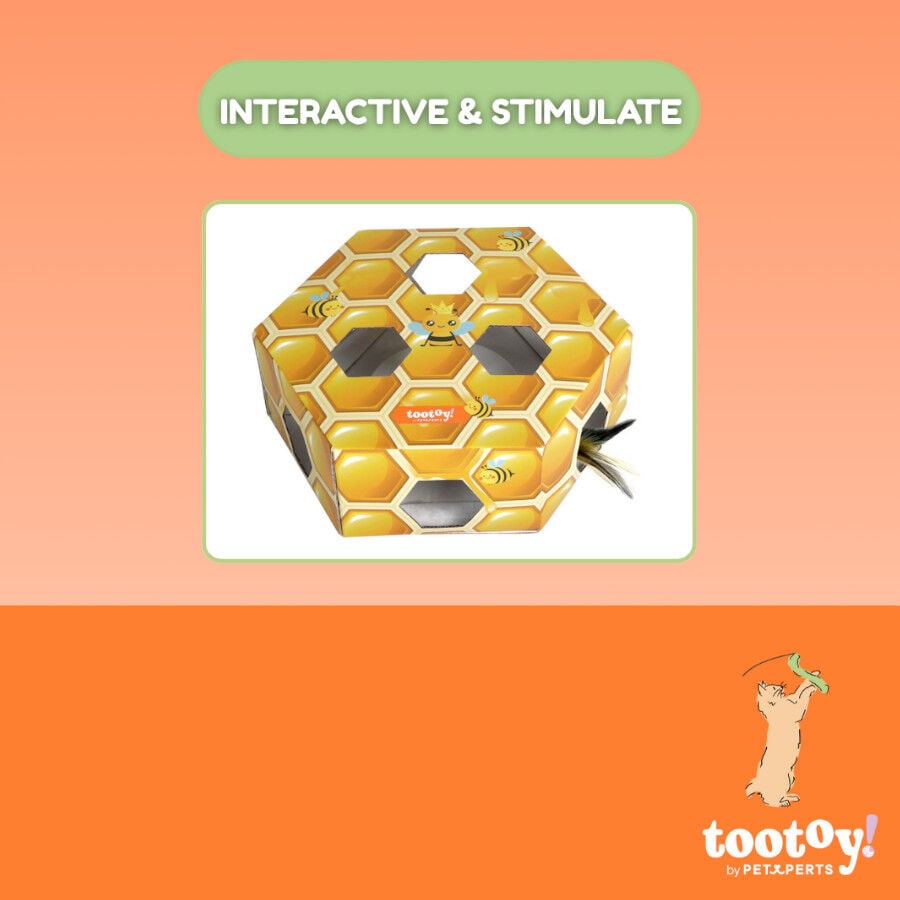 Tootoy! Panal de abeja interactivo con plumas para gatos, , large Imagen numero 3