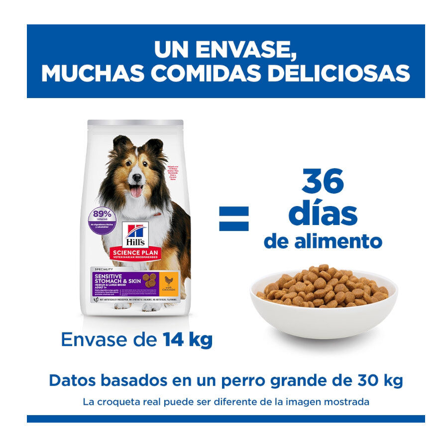 14 kg Hill's Science Plan Sensitive Stomach y skin Adult Pollo pienso para perros, , large indicador imagen numero 6