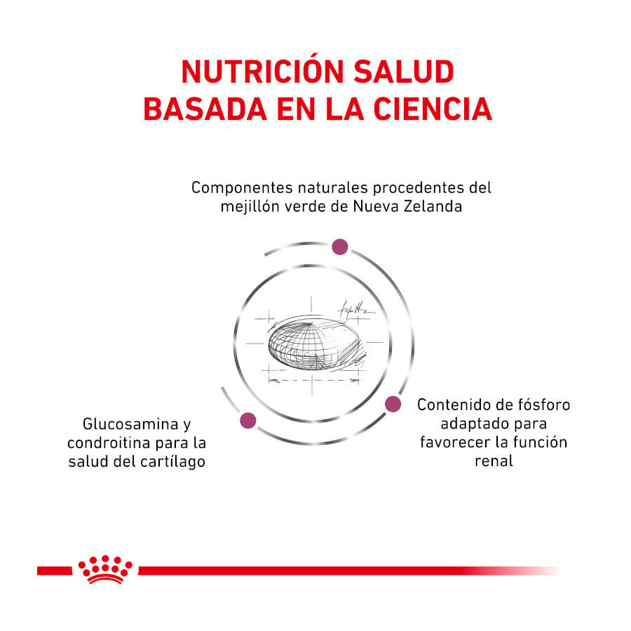 2 kg Royal Canin Veterinary Mobility pienso para gatos, , large indicador imagen numero 3