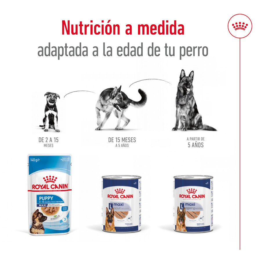 410 g Royal Canin Maxi Ageing 5+ Pat&eacute; lata para perros&nbsp;senior, , large Imagen numero 5