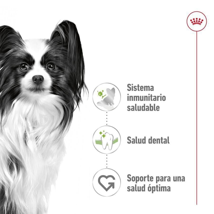 3 kg Royal Canin X-Small Adult pienso para perros, , large Imagen numero 5