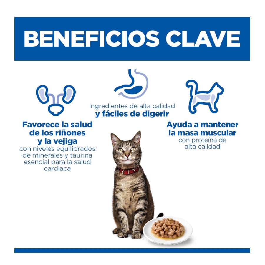 85 g Hill's Science Plan Adult Pollo sobre para gatos, , large Imagen numero 4