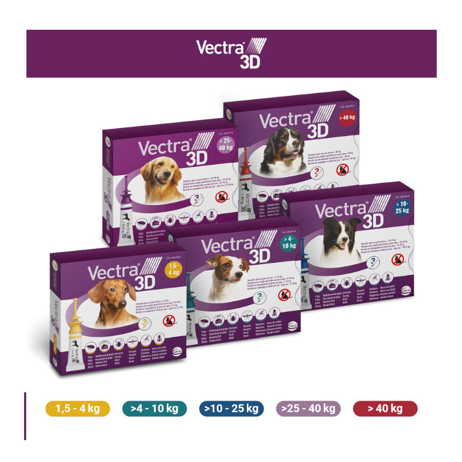 Vectra 3D Pipetas Antiparasitarias para perros
