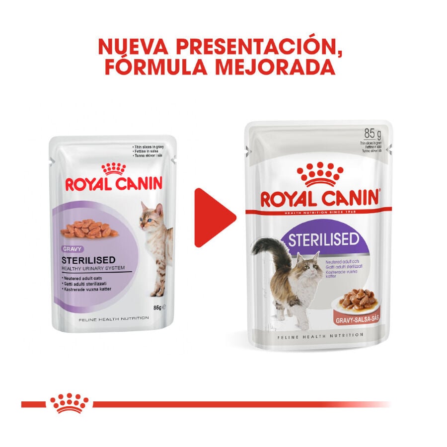 85 g Royal Canin Feline Sterilised Salsa sobres para gato, , large indicador imagen numero 3