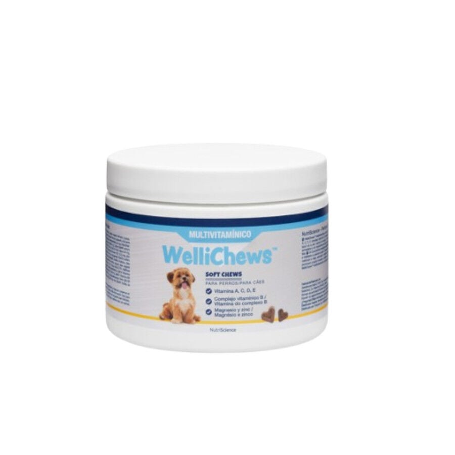 Swedencare Wellichews Multivitam&iacute;nico para perros, , large Imagen numero 1