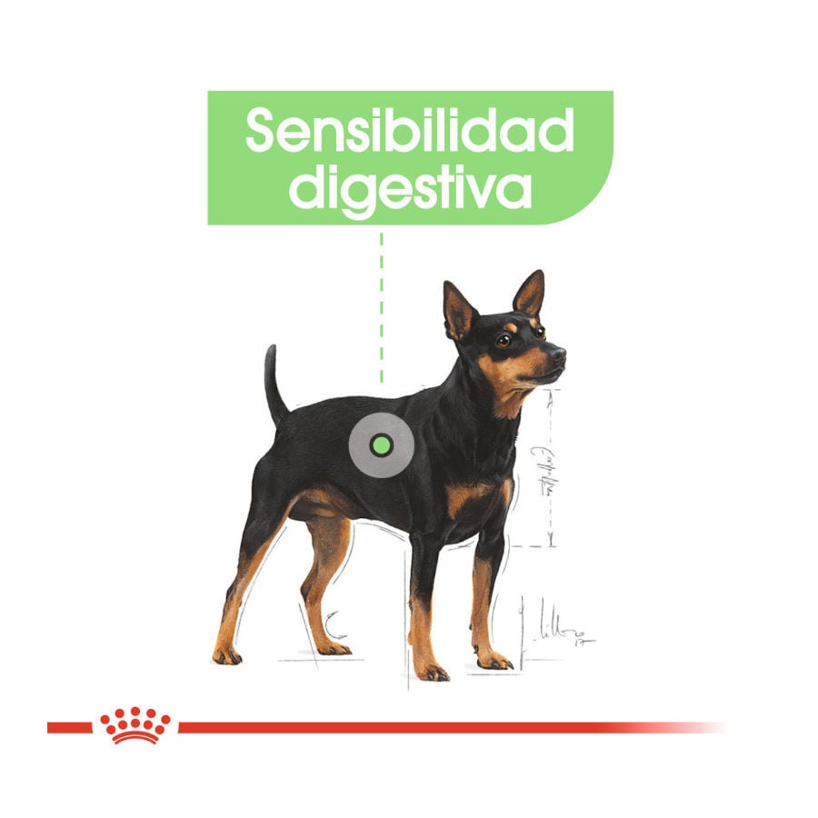 85 g Royal Canin Digestive Care Pat&eacute; sobres para perros, , large Imagen numero 4