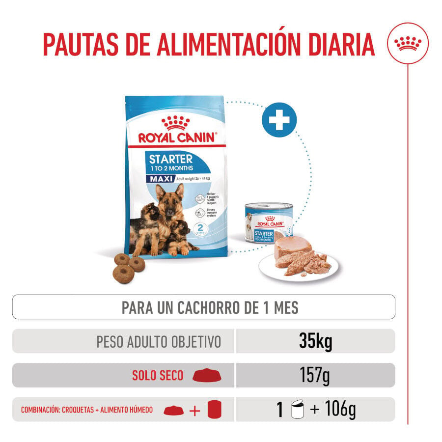 4 kg Royal Canin Starter MotheryBaby Maxi pienso para perros, , large Imagen numero 6