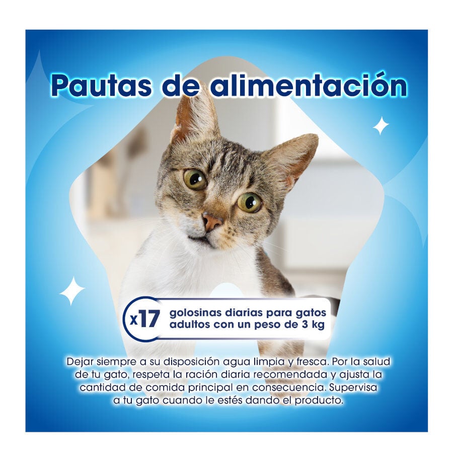 40 g Dentalife Snack Dentales Pollo para gatos, , large Imagen numero 6