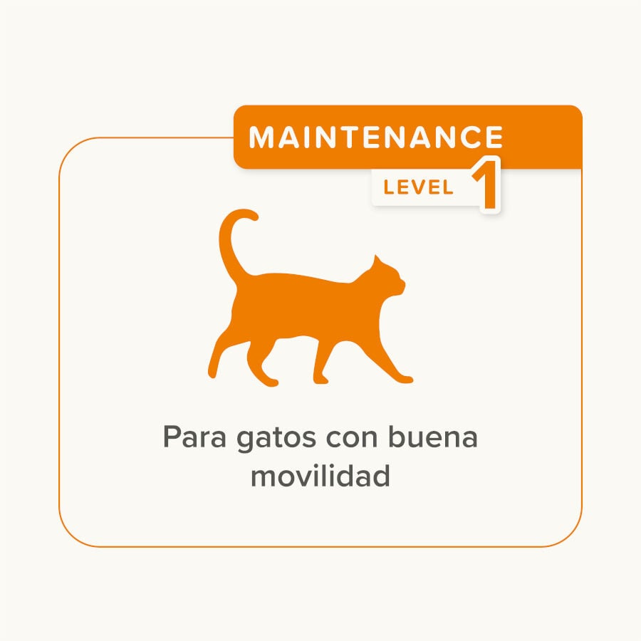 35 g Beaphar Flexifit Bits Condroprotector para gatos, , large indicador imagen numero 4