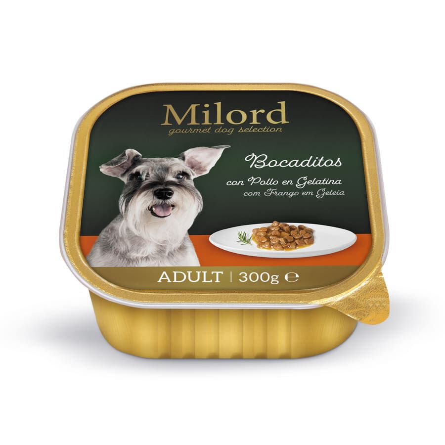 300 g Milord Adult Pollo en Gelatina tarrina para perros, , large Imagen numero 1