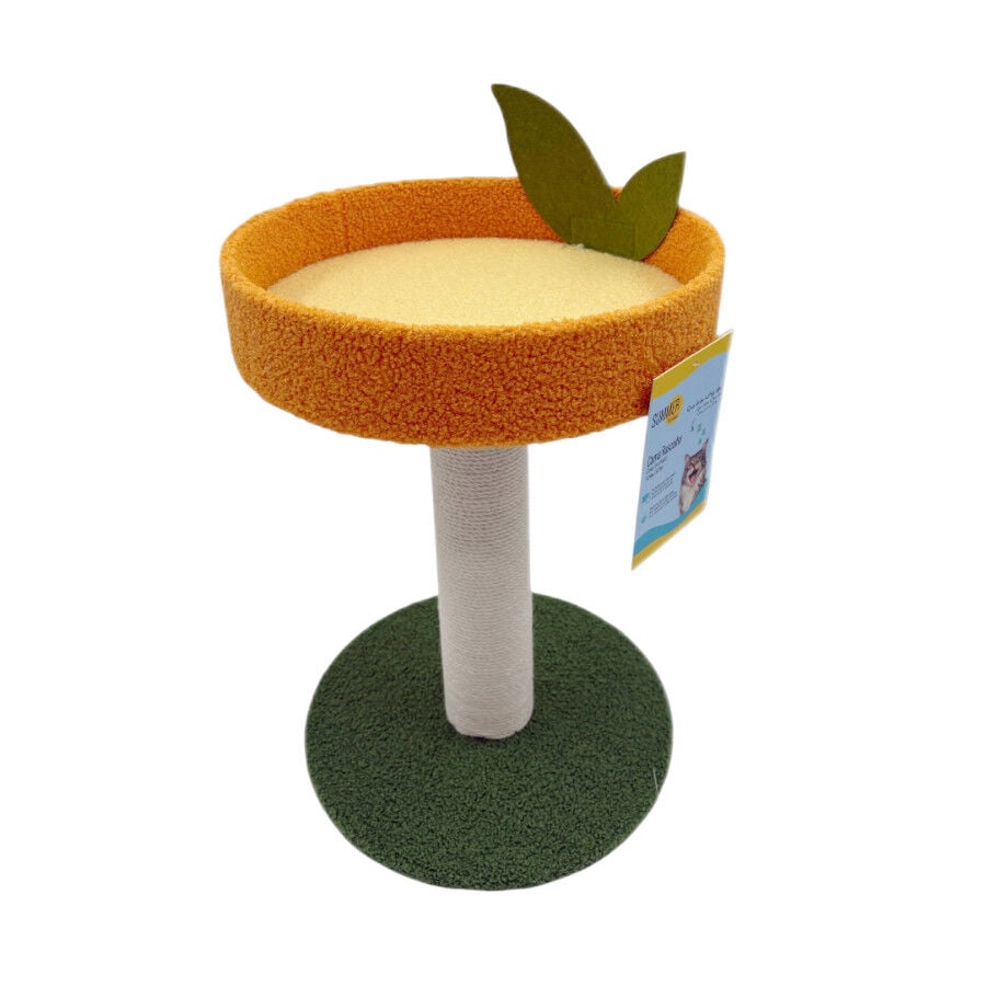 Summer Vibes Poste Rascador Fruta Naranja para gatos, , large indicador imagen numero 5