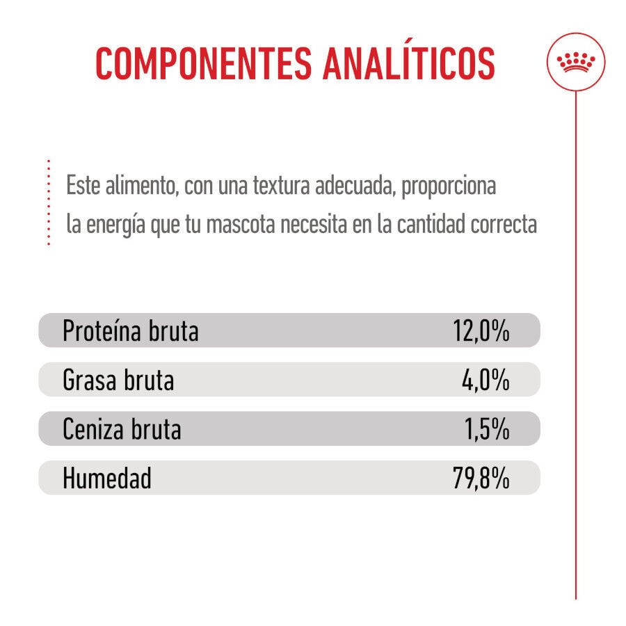 85 g Royal Canin Kitten comida h&uacute;meda en gelatina sobre para gatos&nbsp;, , large Imagen numero 8