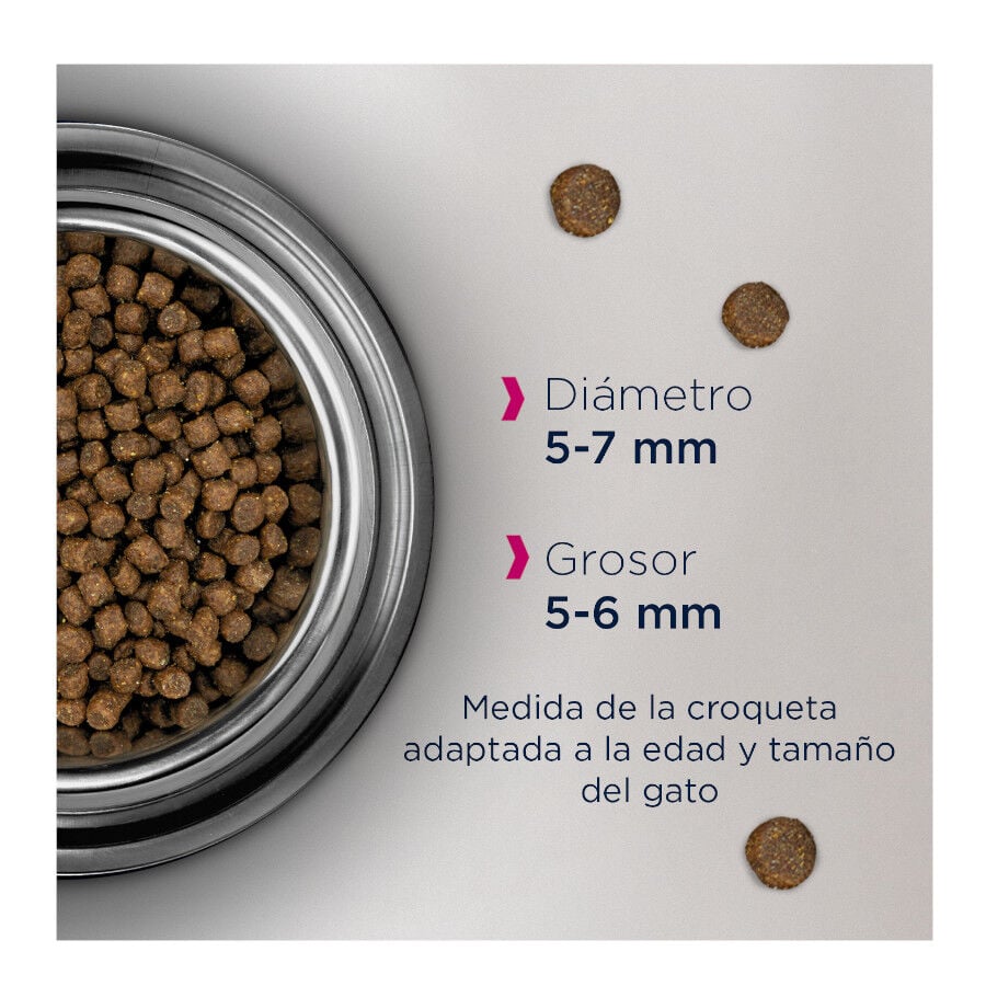 Eukanuba Kitten comida para gatos cachorros indicador imagen numero 2