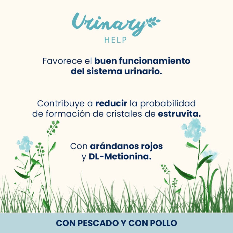 6 sobres x 70 g Almo Nature Urinary Help Pescado y Pollo sobre para gatos &ndash; Multipack, , large indicador imagen numero 2