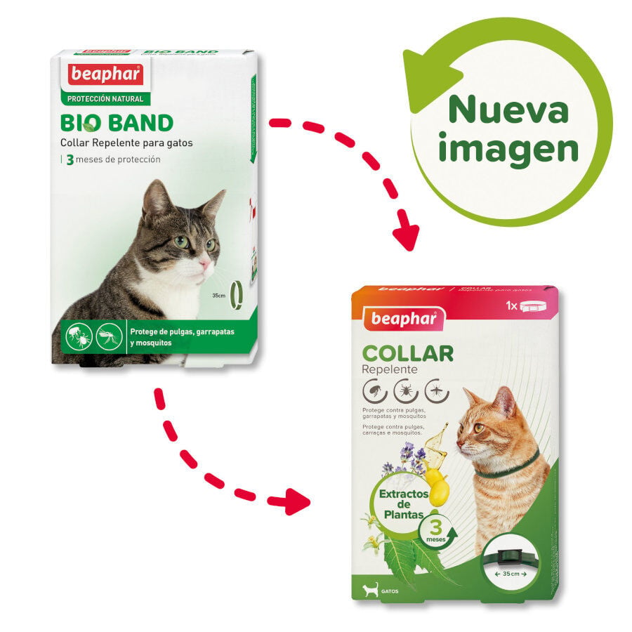 Beaphar Bioband Collar repelente para gatos, , large Imagen numero 2