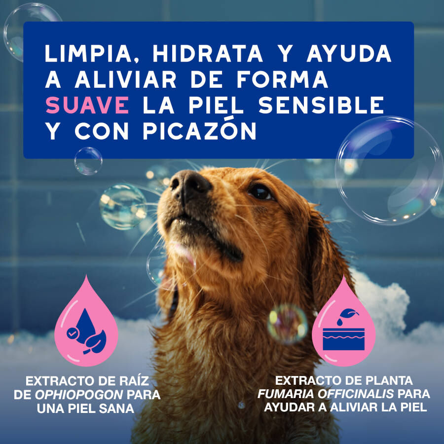 Ceva Douxo Spa Champ&uacute; Alivia para perros, , large Imagen numero 7