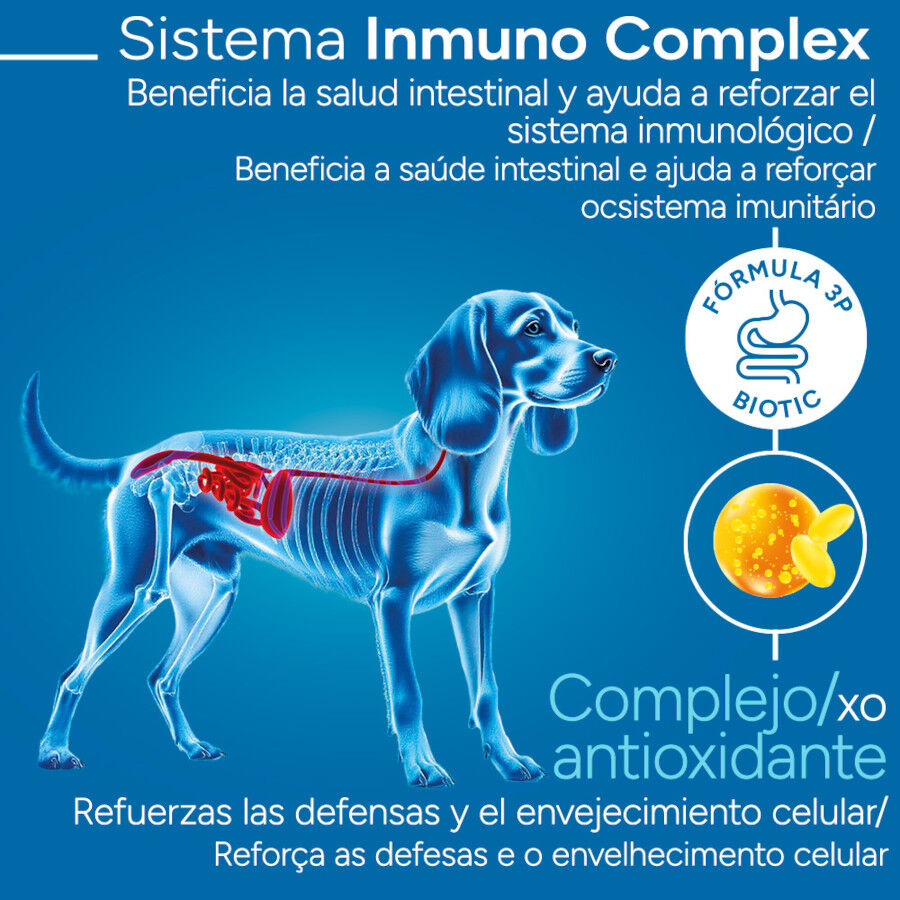 12 kg Criadores Cient&iacute;fico Adulto Medium Pienso Pollo para perros, , large indicador imagen numero 3