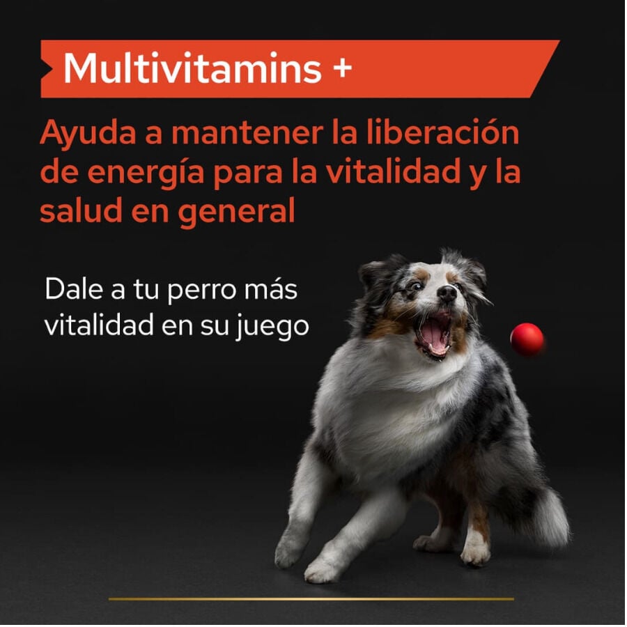 67 g Pro Plan Multivitamin Suplemento para perros, , large indicador imagen numero 3