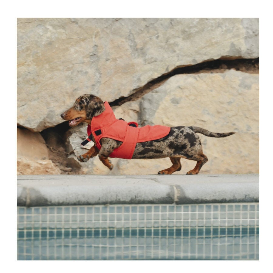 Freedog Paw Shield Rojo Abrigo Impermeable para perros, , large Imagen numero 2