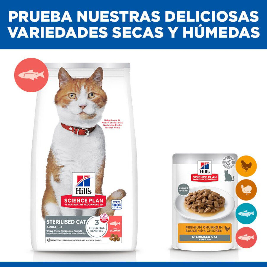 7 kg Hill's Science Plan Sterilised Adult Salm&oacute;n pienso para gatos, , large Imagen numero 8
