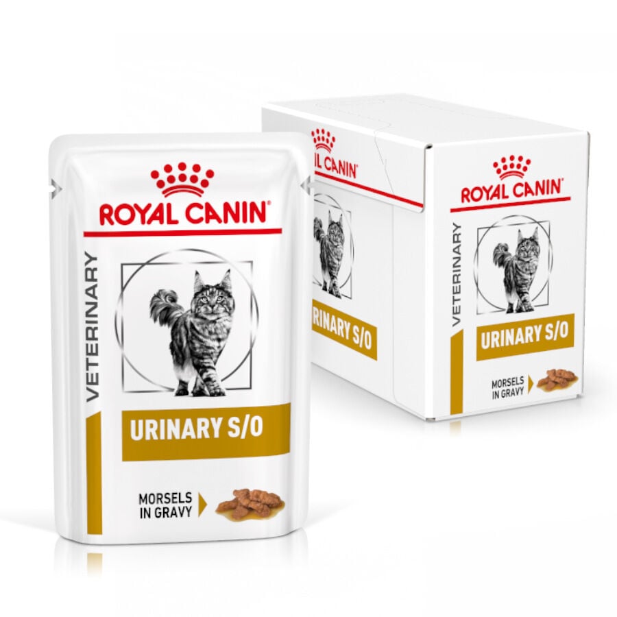 12 sobres x 85 g Royal Canin Veterinary Diet  Urinary S/O sobres para gato, , large Imagen numero 2