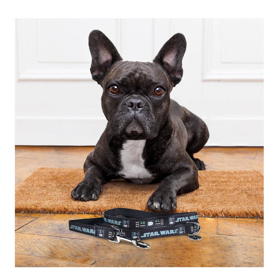 Disney Star Wars Correa Estampado para perros, , large indicador imagen numero 3