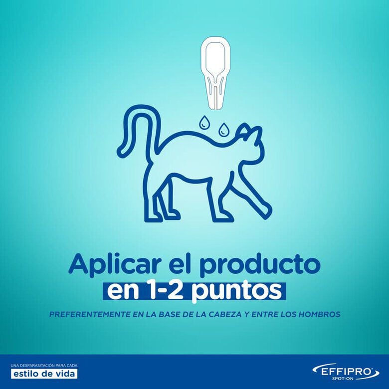 Virbac Effipro pipetas antiparasitarias gatos, , large Imagen numero 5