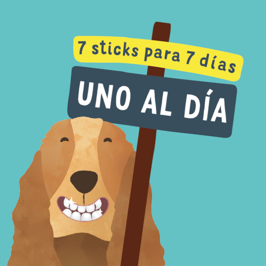 7 barritas Edgard & Cooper Barritas Dentales Manzana y eucalipto snack para perros grandes, , large Imagen numero 6