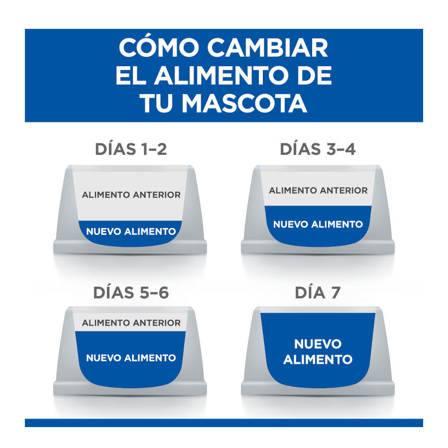 12 sobres x 85 g Hill's Science Plan Sterilised Adult Pollo y Salm&oacute;n en Salsa sobre para gatos, , large indicador imagen numero 5