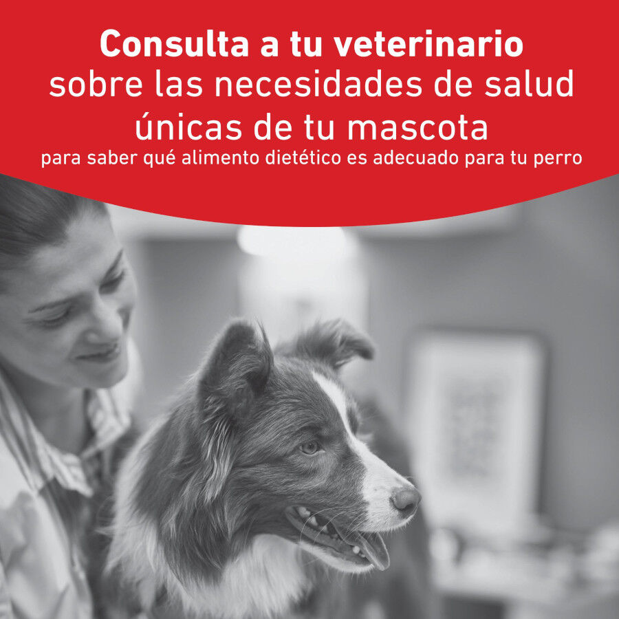 1.5 kg Royal Canin Glycobalance Pienso para perros, , large indicador imagen numero 2