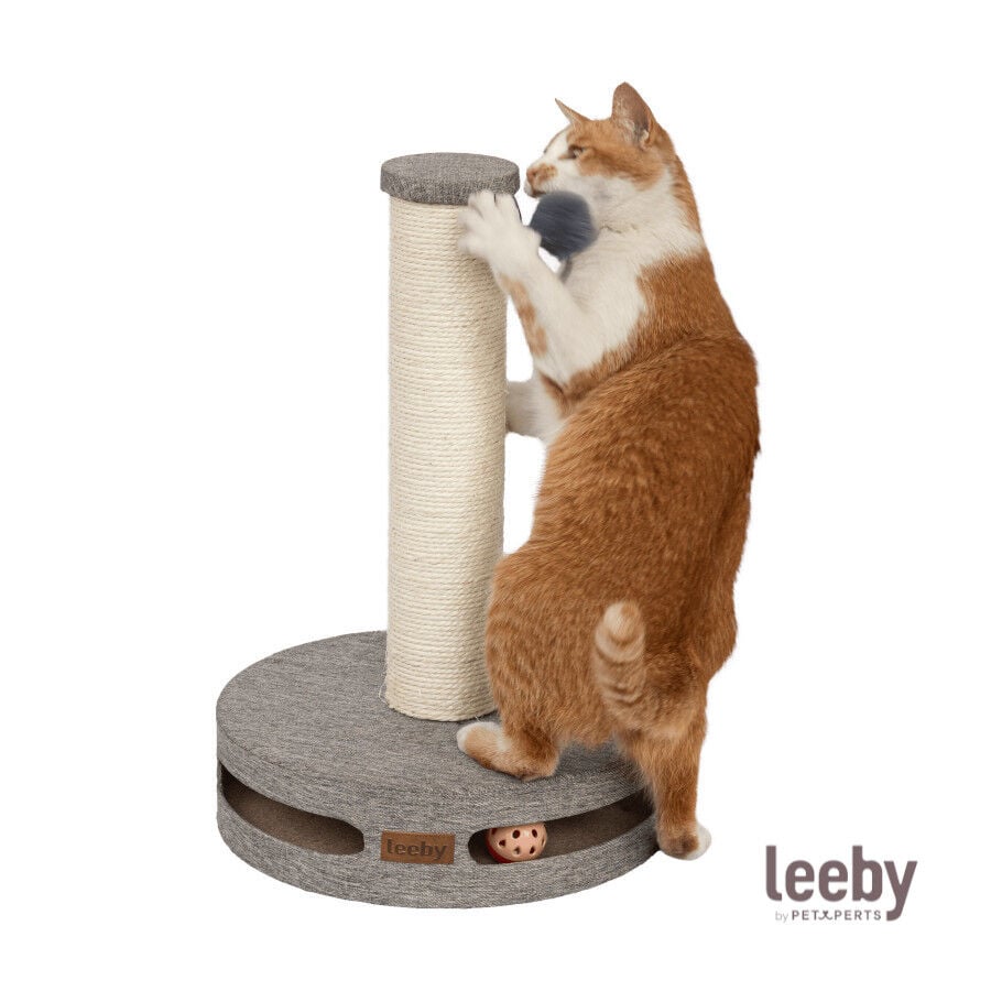 Leeby Gonzalo rascador con juguete y bola para gatos, , large Imagen numero 2