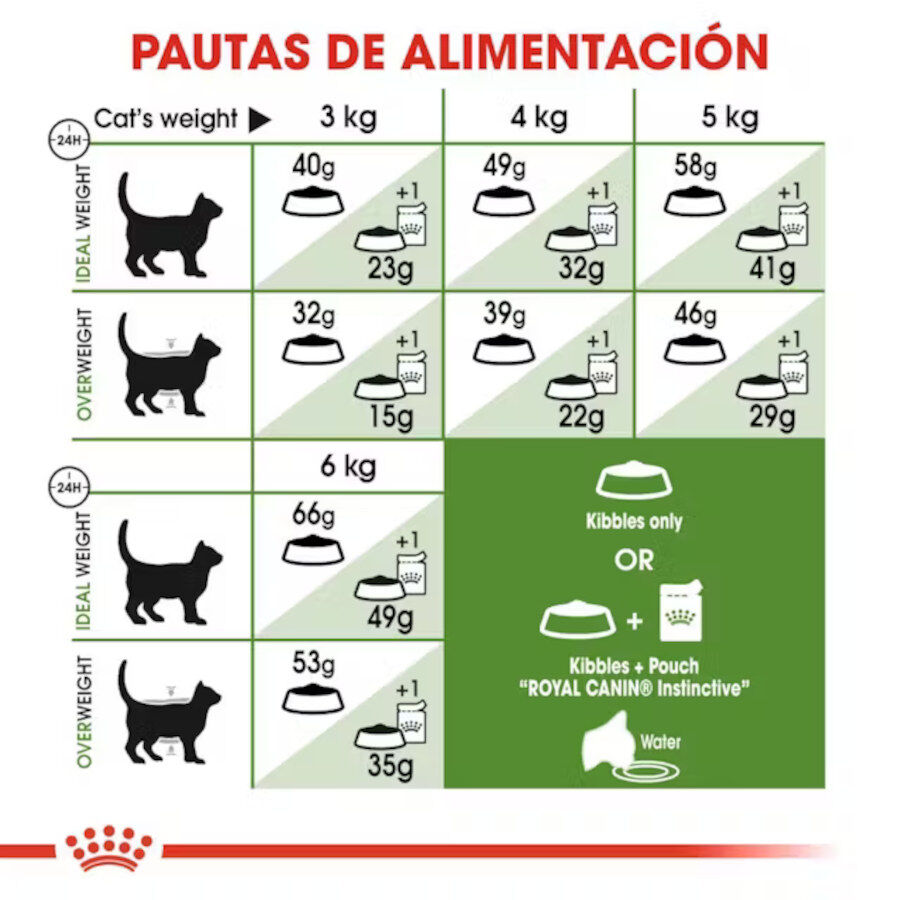 10 kg Royal Canin Active Life Outdoor pienso para gatos, , large indicador imagen numero 6