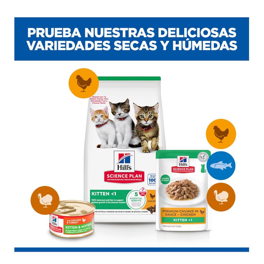 85 g Hill's Science Plan Kitten Pollo sobre en salsa para gatitos, , large Imagen numero 11