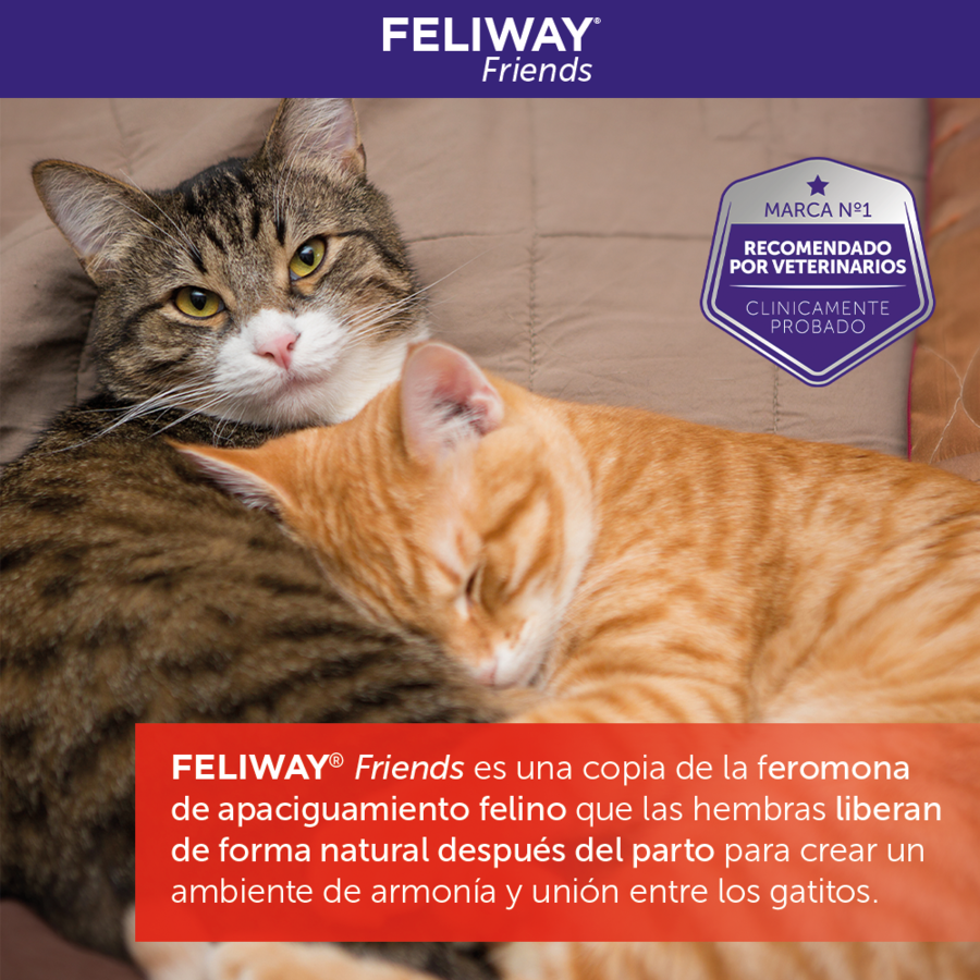 Feliway Friends Difusor para gatos, , large indicador imagen numero 7
