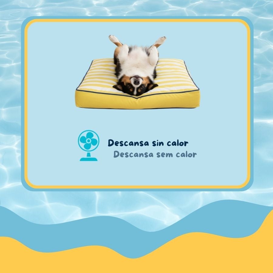 Summer Vibes Cama Coj&iacute;n Amarillo y Blanco para perros, , large indicador imagen numero 3