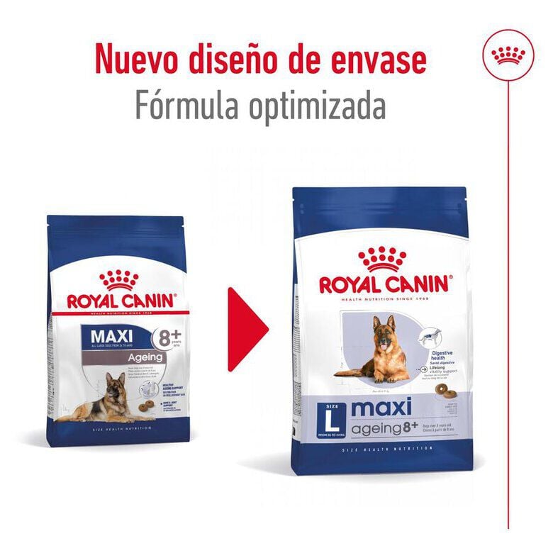 15 kg Royal Canin Maxi Ageing 8+ pienso para perros&nbsp;senior, , large Imagen numero 2