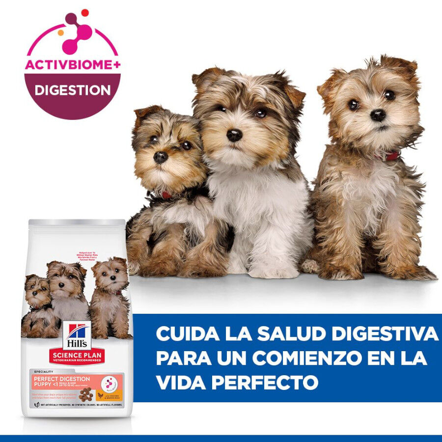 1.5 kg Hill's Science Plan Perfect Digestion Puppy Small y Mini Pollo y Arroz pienso para perros, , large Imagen numero 6