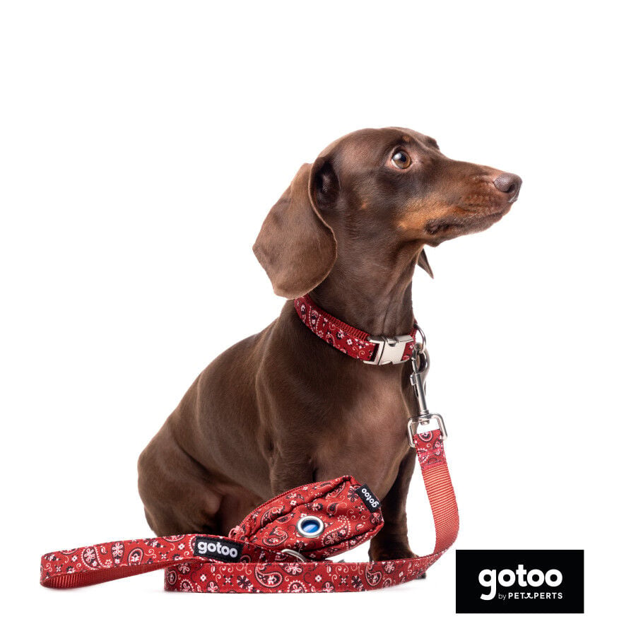 Gotoo Porta bolsas estampado cachemira rojo para perros, , large Imagen numero 3