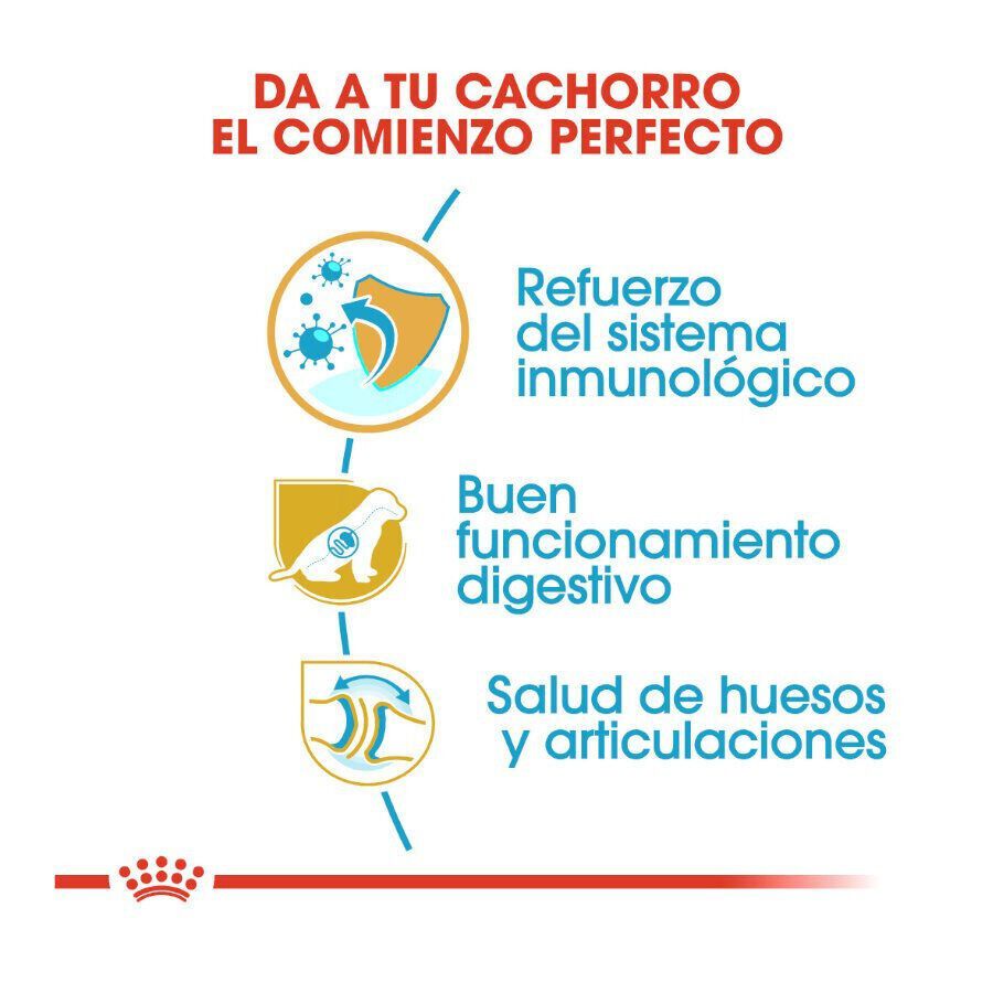 12 kg Royal Canin Puppy Pastor Alem&aacute;n pienso para perros, , large Imagen numero 6