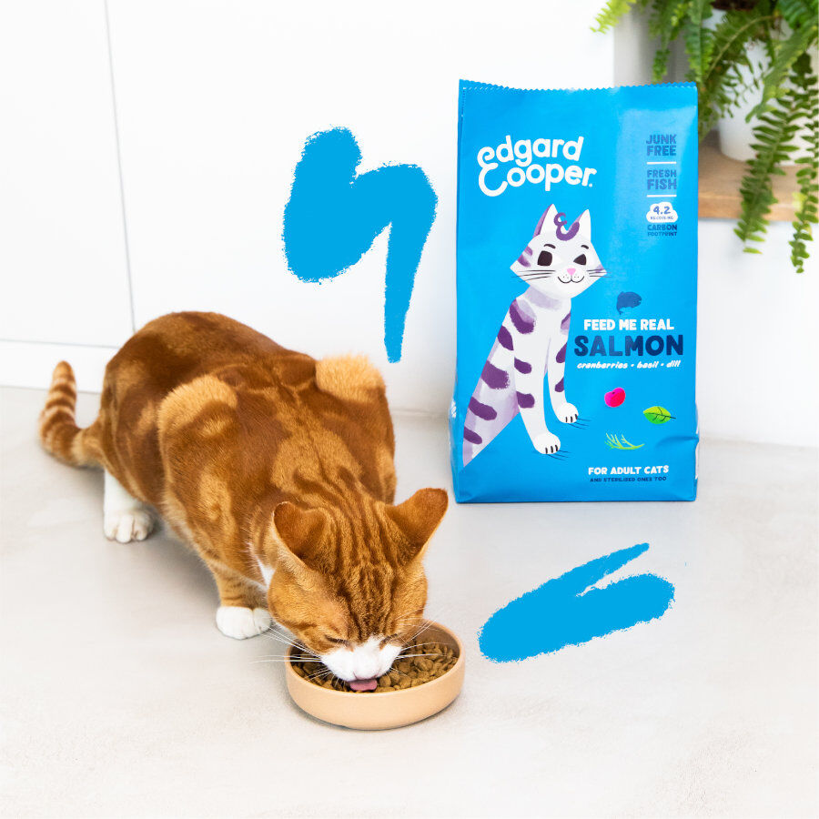 4 kg Edgard & Cooper Adult Salm&oacute;n pienso para gatos, , large Imagen numero 2