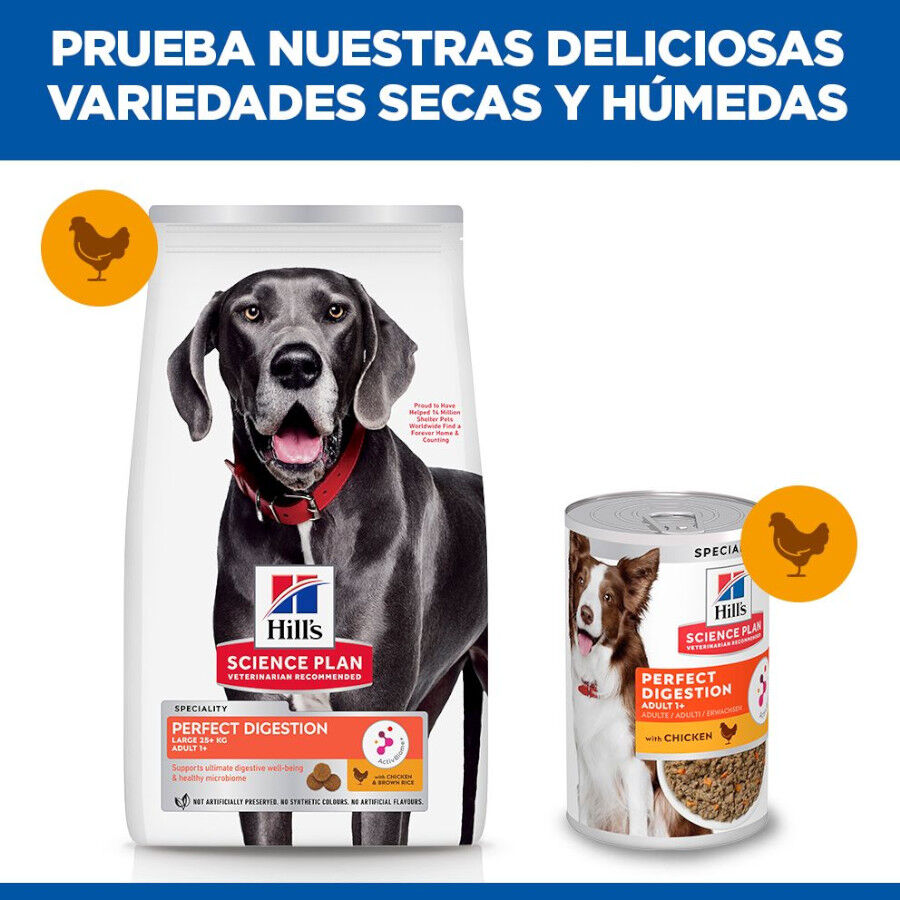 14 kg Hill's Science Plan Perfect Digestion Adult large Pollo pienso para perros, , large Imagen numero 7