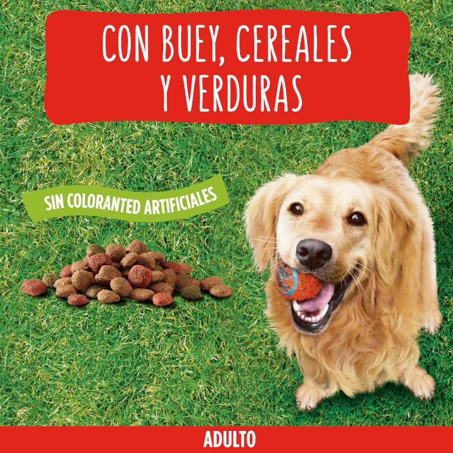 15 kg Friskies Adult Buey y Verduras pienso para perros, , large Imagen numero 4