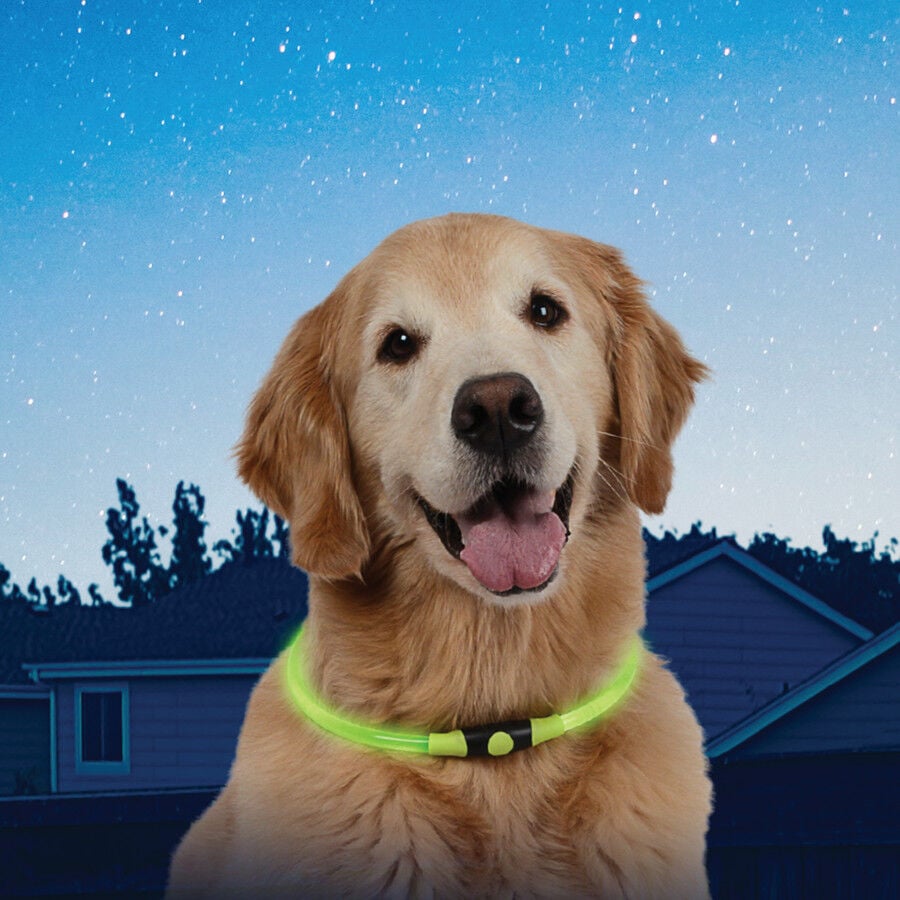 Nite Ize Nite Howl Collar Led Verde para perros, , large indicador imagen numero 2