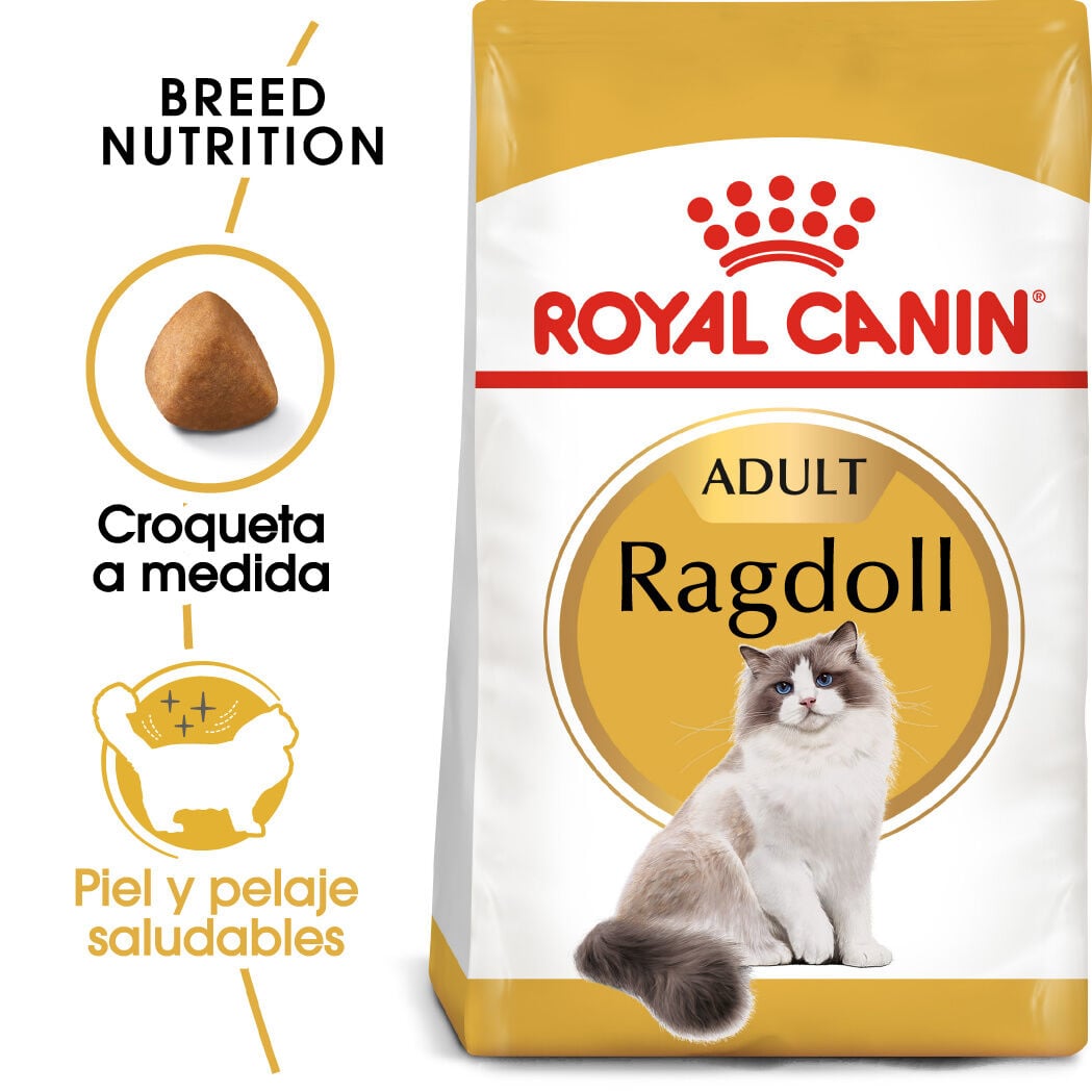 2 kg Royal Canin Adult Ragdoll pienso para gatos, , large indicador imagen numero 2