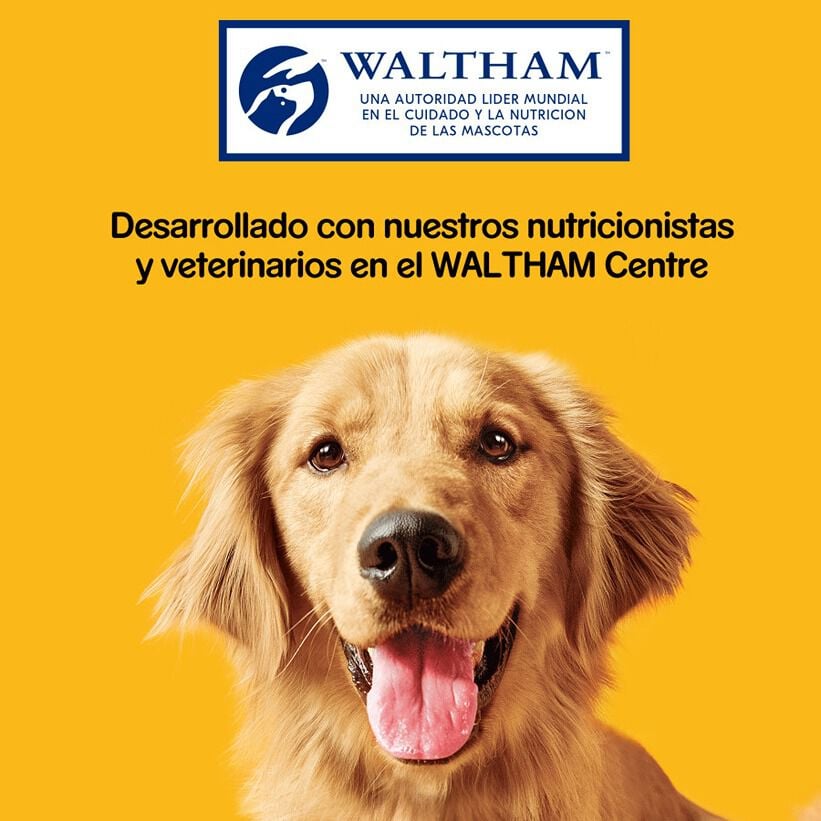 500 g Pedigree Galletas Biscrok de 3 Sabores para Perros, , large Imagen numero 7
