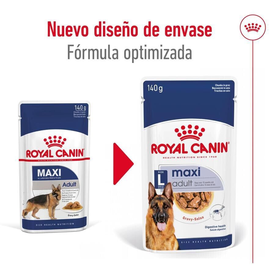140 g Royal Canin Maxi Adult Carne sobre en salsa para perros, , large Imagen numero 4